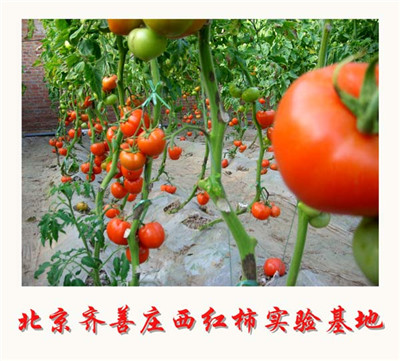 dbdd12766959e3db9754e8bdb3785189 生物腐植酸有机肥加工厂必要几多投资